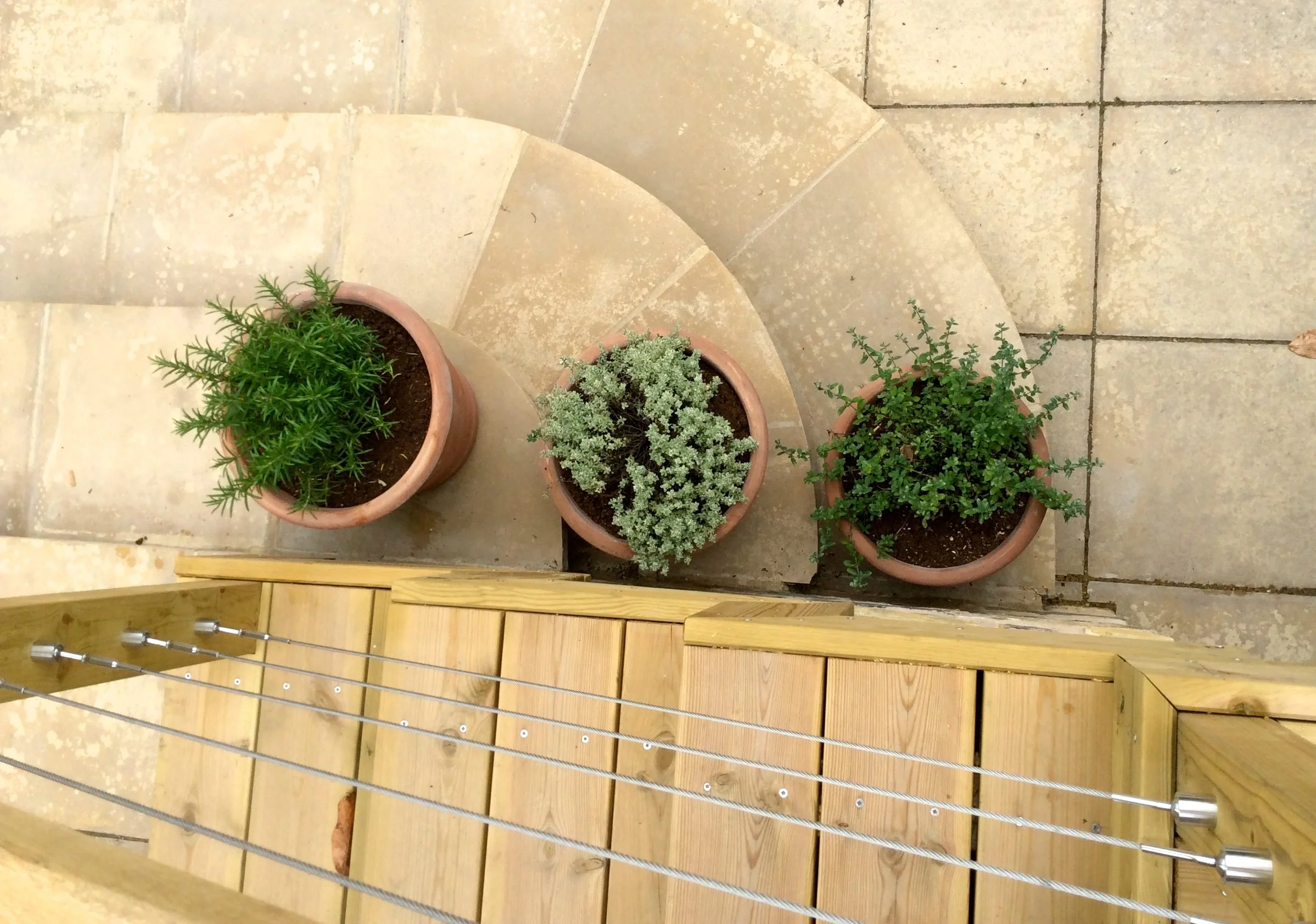 DSC_3- Version 2.jpg