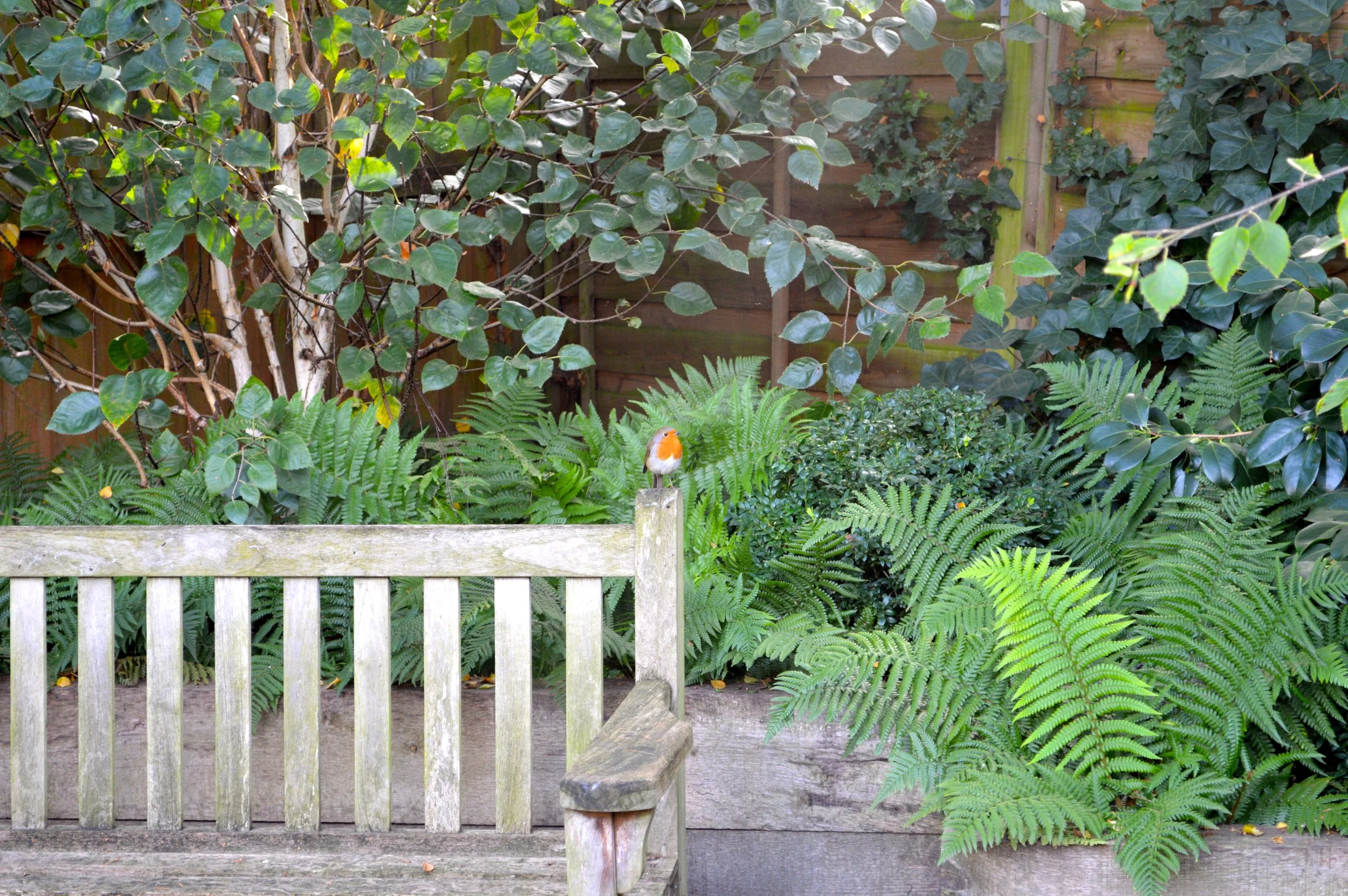 DSC_8- Version 2.JPG