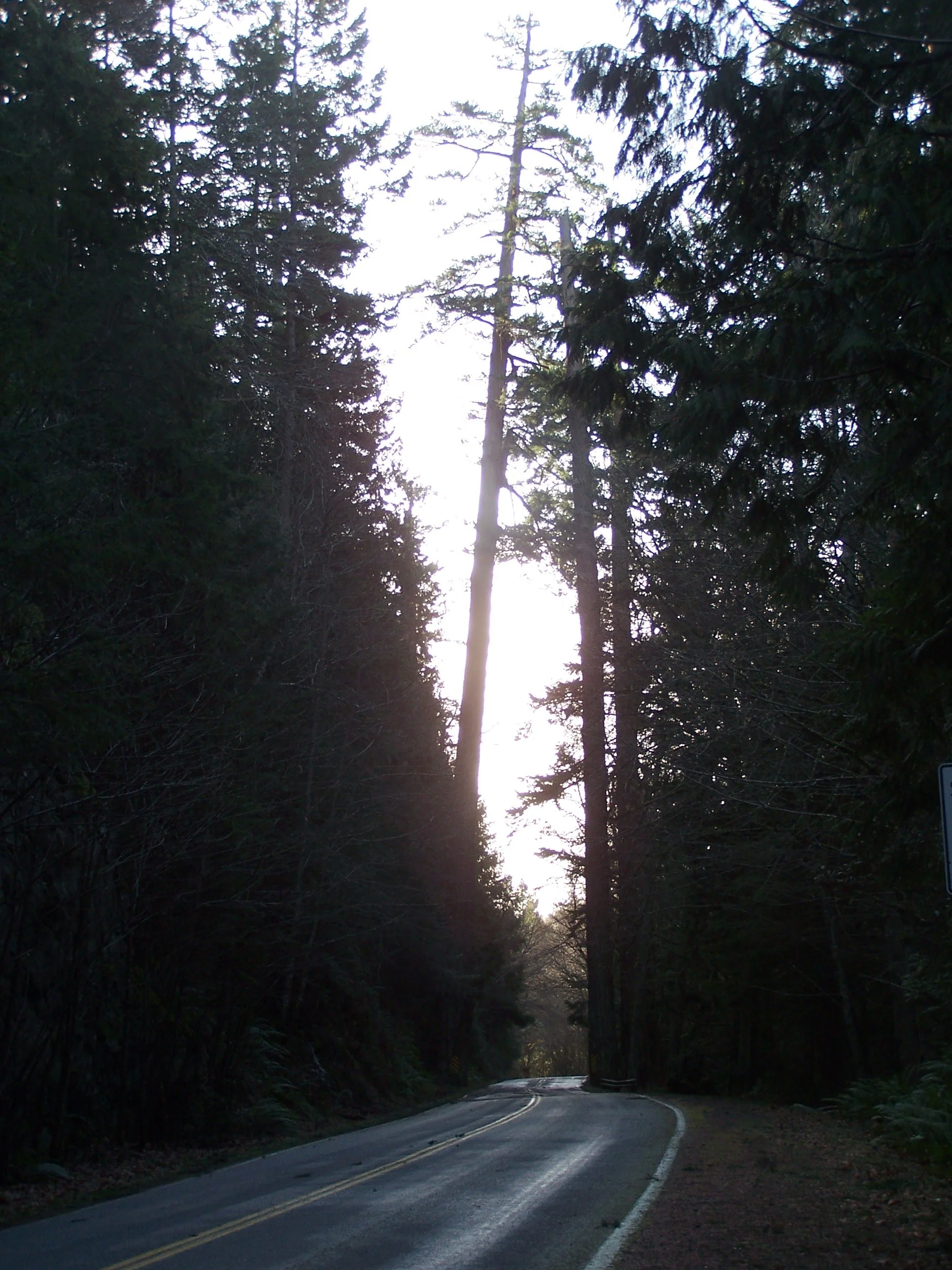 101_7225.JPG