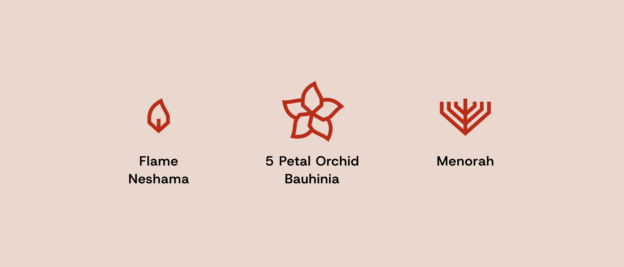 The visual elements behind the Chabad Hong Kong identity