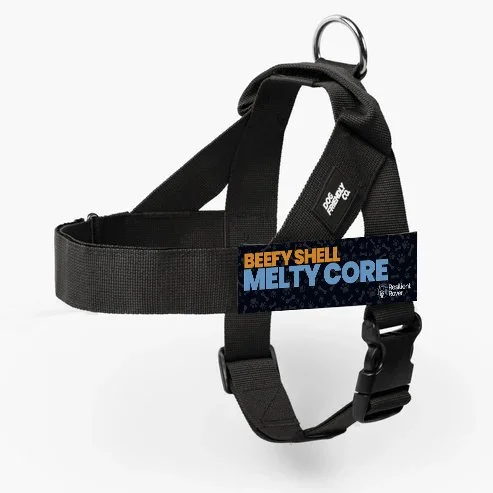 Beefy Shell Melty Core.jpg