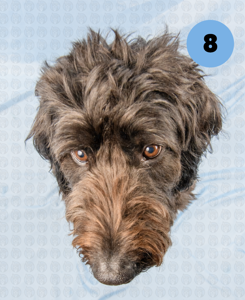 Screenshot 2025-12-22 at 7.02.20 AM copy.png