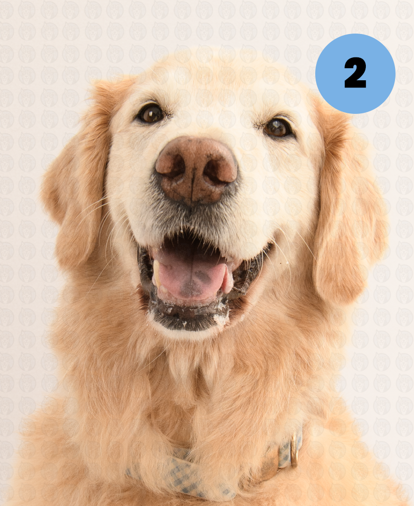 Photographer's Selects of Honey Ancheta