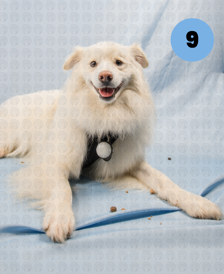 Screenshot 2025-12-22 at 7.13.27 AM copy.png