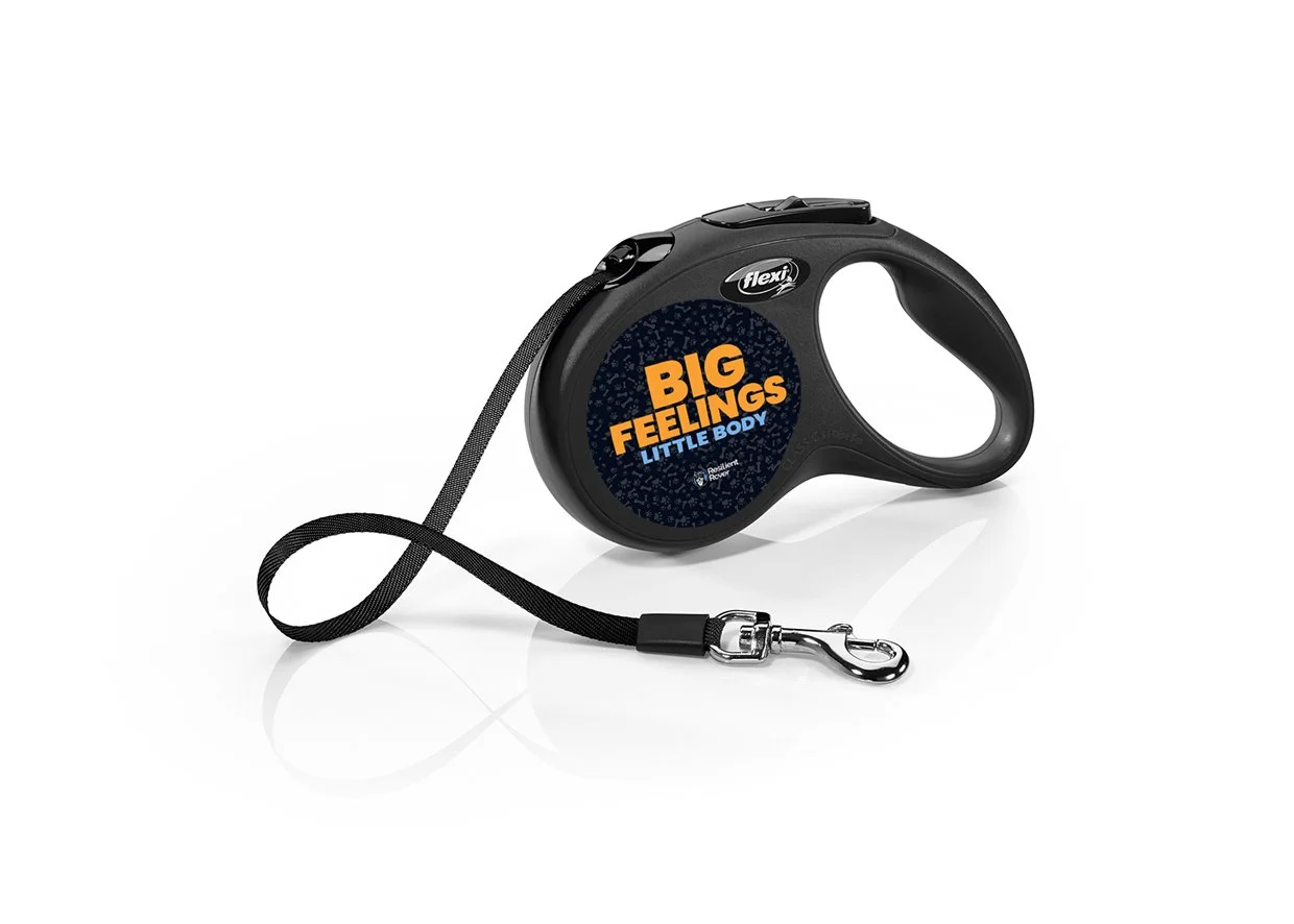 Flexi Retractable Leash with High-Vis Message