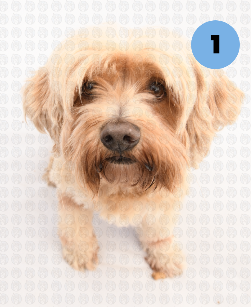 Screenshot 2026-01-12 at 11.18.07 AM copy.png