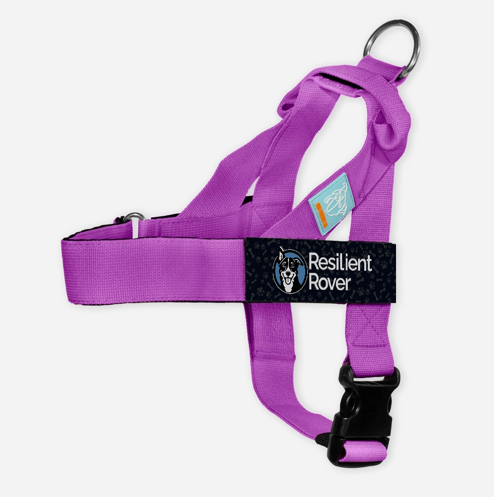 Solid Color Customizable Harness from Dog Friendly Co.