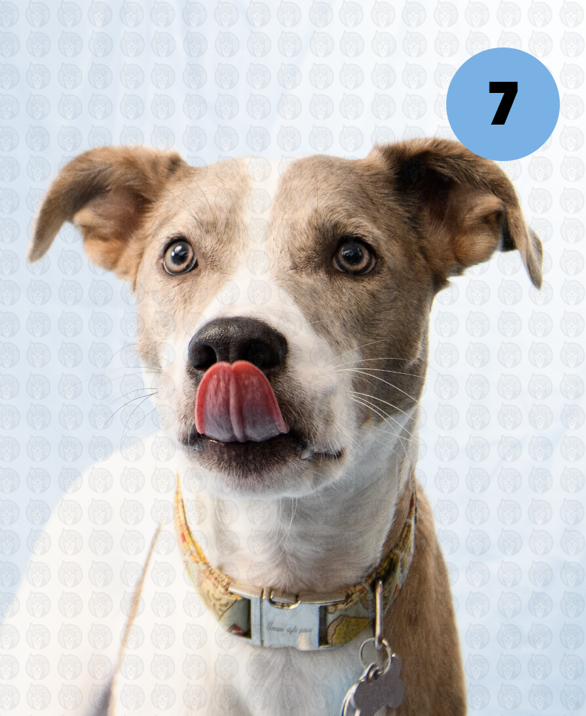 Screenshot 2025-12-16 at 9.45.16 AM copy.png