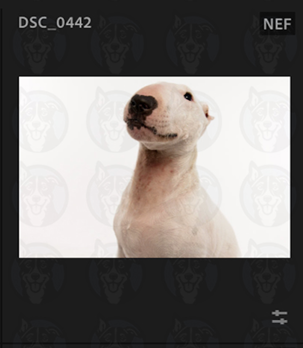 Screenshot 2025-02-01 at 8.51.07 AM.png