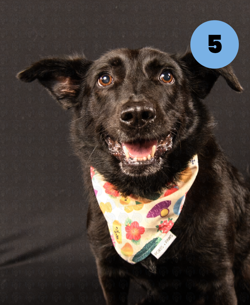 Screenshot 2025-10-23 at 1.12.19 PM copy.png