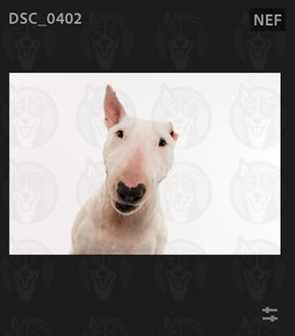 Screenshot 2025-02-01 at 8.50.56 AM.png