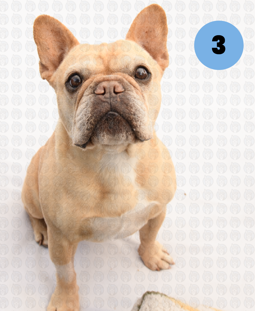 Screenshot 2026-01-12 at 11.53.08 AM copy.png