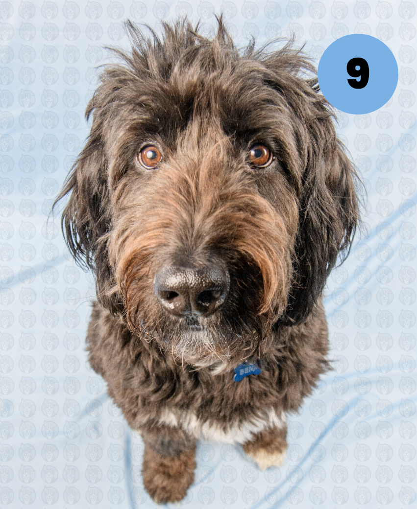 Screenshot 2025-12-22 at 7.02.26 AM copy.png