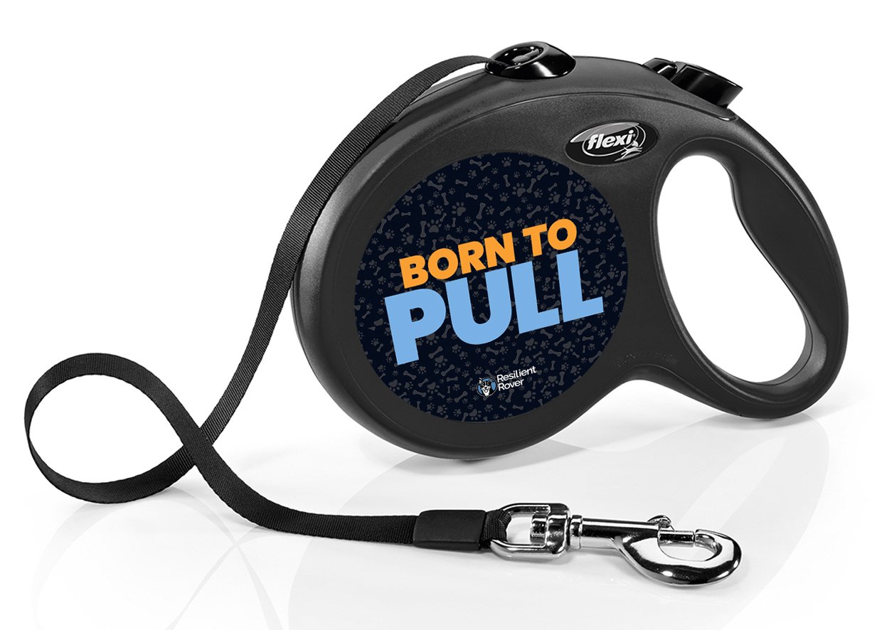 Flexi Retractable Leash with High-Vis Message