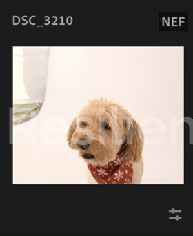 Screenshot 2024-12-18 at 9.14.31 AM.png