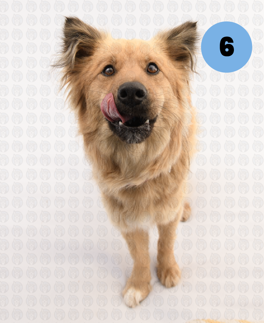 Screenshot 2026-01-12 at 11.14.46 AM copy.png