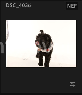 Screenshot 2024-12-18 at 8.51.20 AM.png