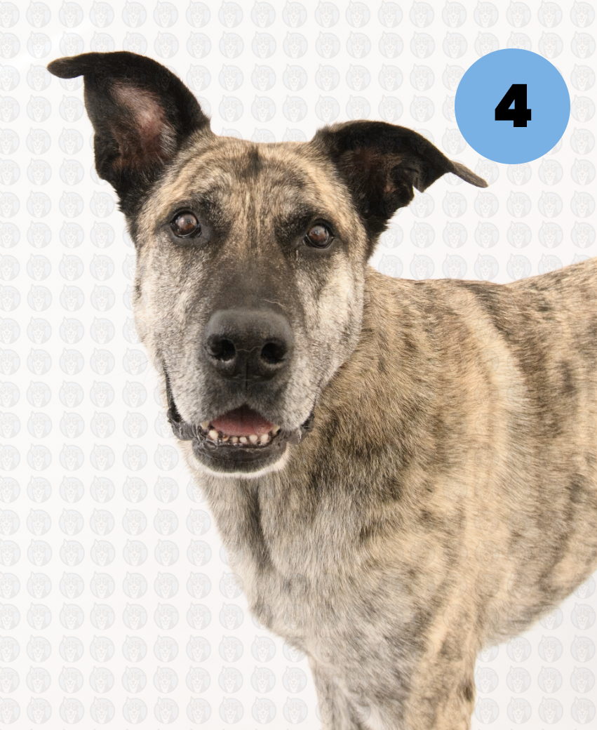 Screenshot 2026-01-12 at 11.22.02 AM copy.png