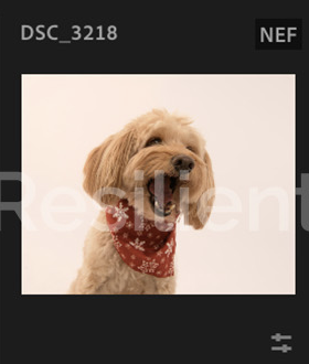 Screenshot 2024-12-18 at 9.14.40 AM.png