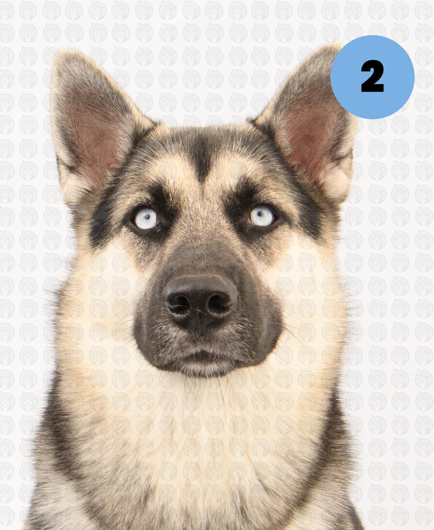 Screenshot 2026-01-12 at 11.39.09 AM copy.png