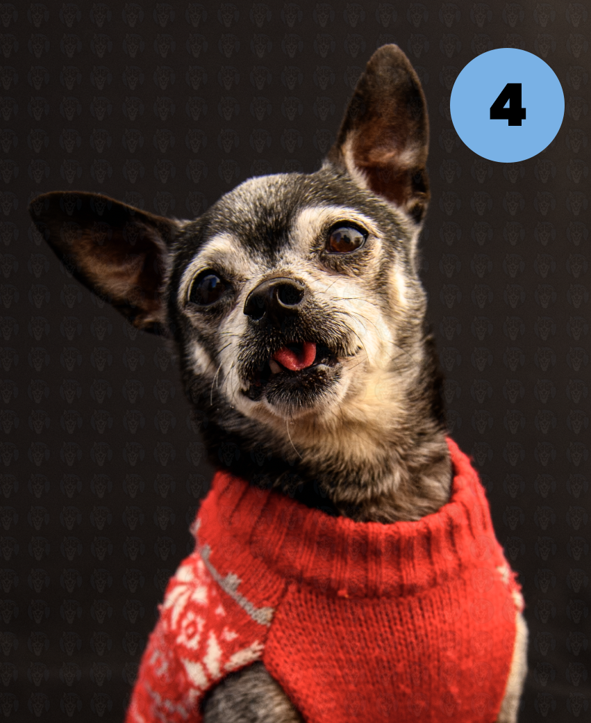 Screenshot 2025-10-24 at 2.43.06 PM copy.png