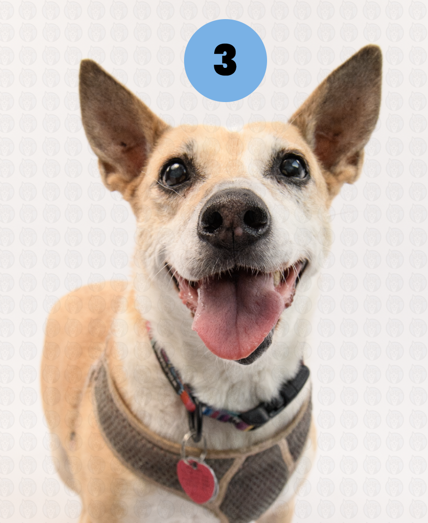 Photographer's Selects of Roxy Winslow