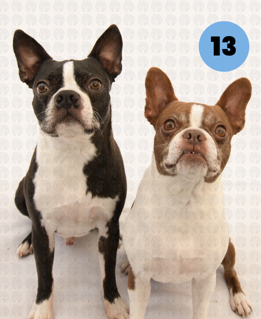 Screenshot 2026-01-12 at 11.30.26 AM copy.png