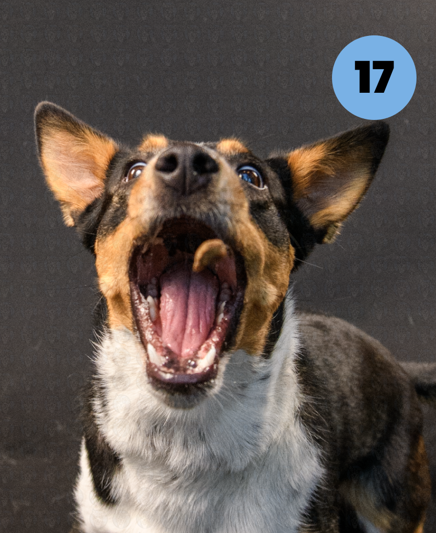 Screenshot 2025-10-23 at 1.43.14 PM copy.png