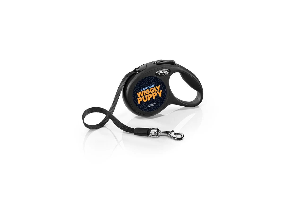 Flexi Retractable Leash with High-Vis Message
