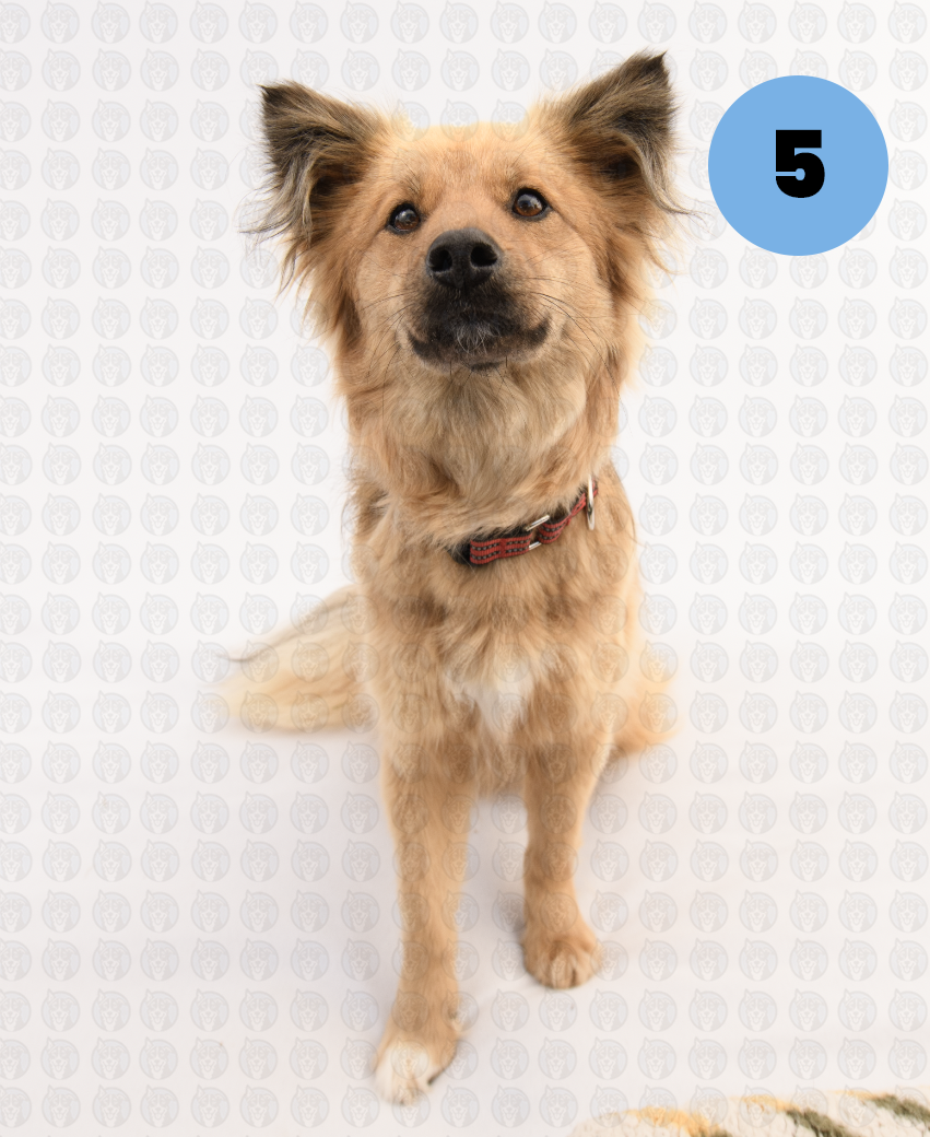 Screenshot 2026-01-12 at 11.14.39 AM copy.png