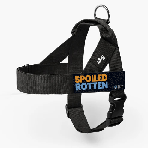 Spoiled Rotten.png