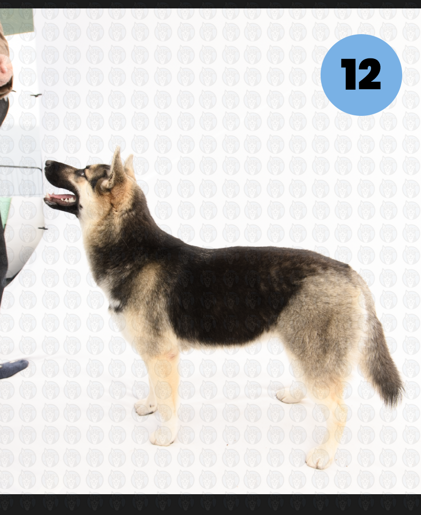 Screenshot 2026-01-12 at 11.40.30 AM copy.png