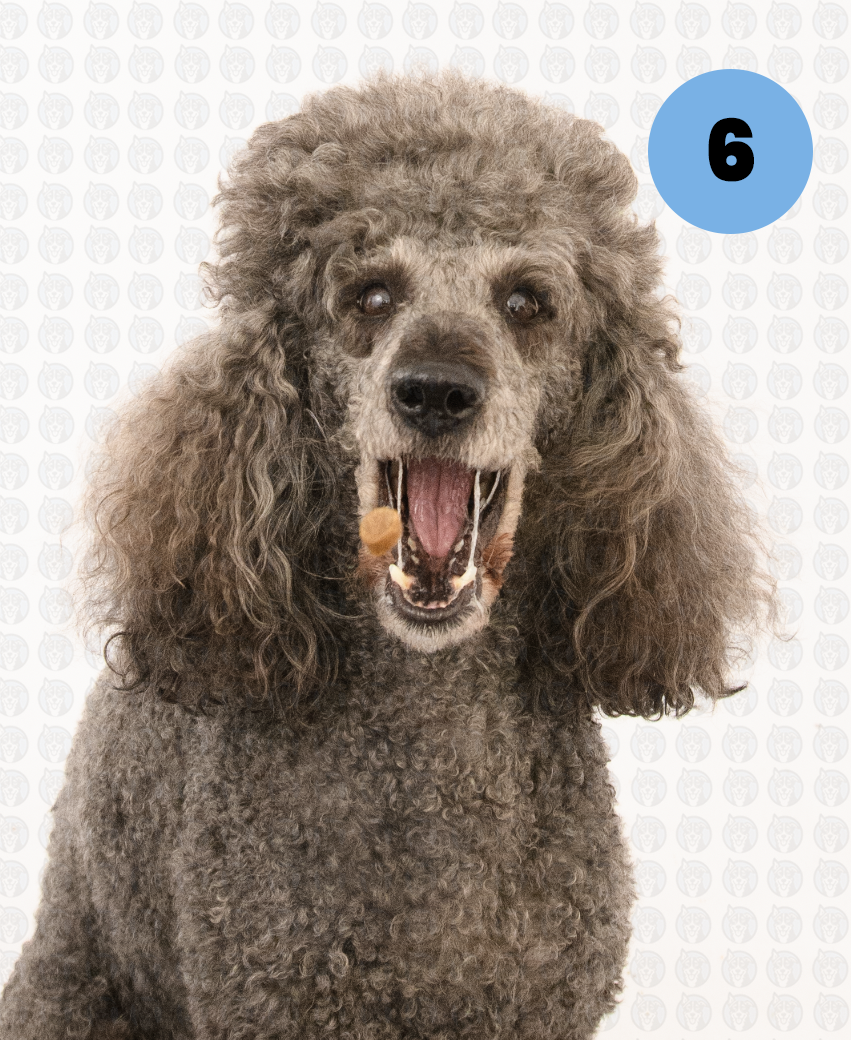 Screenshot 2026-01-12 at 11.11.10 AM copy.png