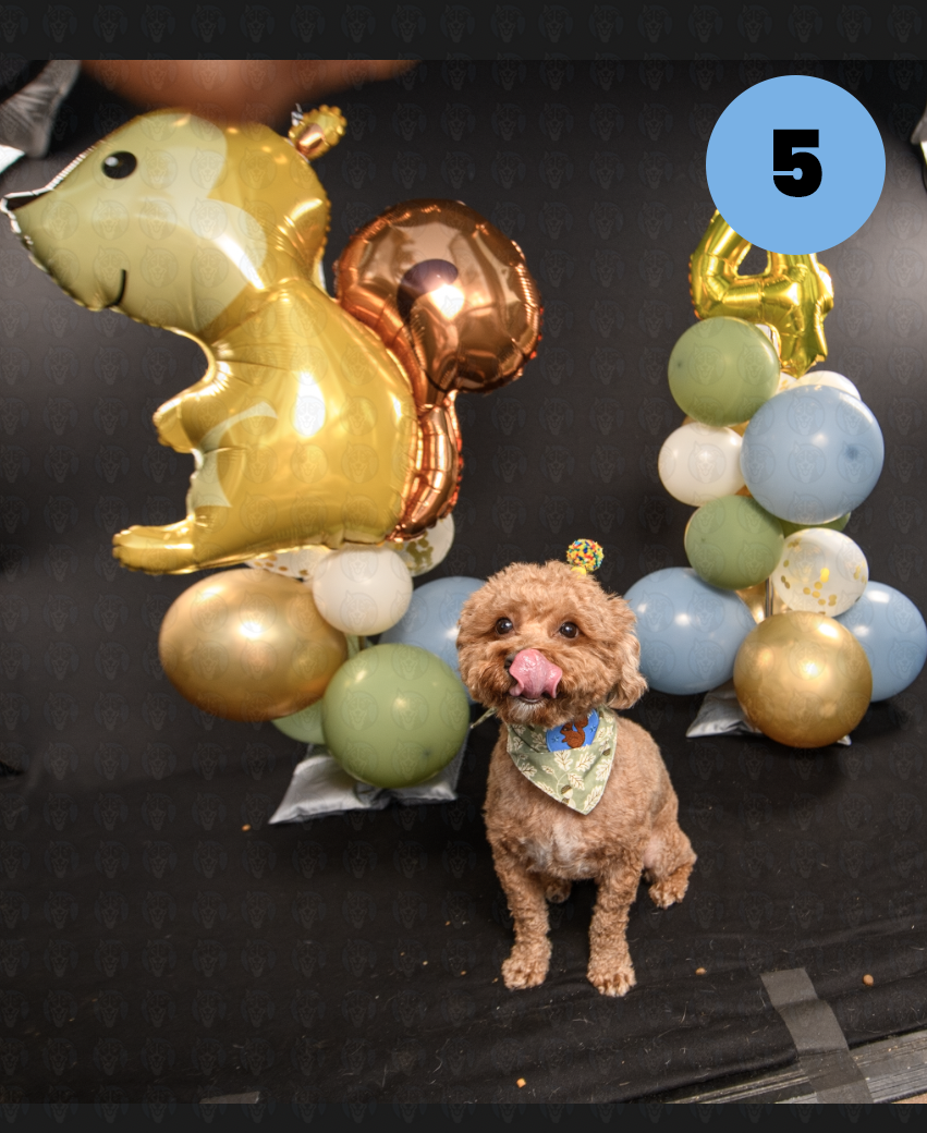 Screenshot 2025-10-23 at 1.19.30 PM copy.png