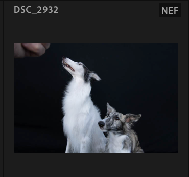Screenshot 2024-10-29 at 8.21.21 AM.png