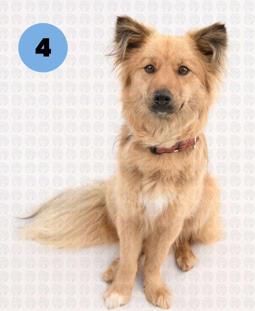 Screenshot 2026-01-12 at 11.14.32 AM copy.png