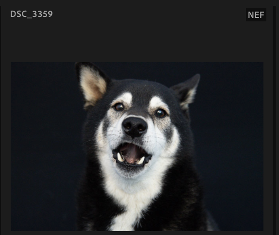 Screenshot 2024-10-28 at 11.46.58 AM.png