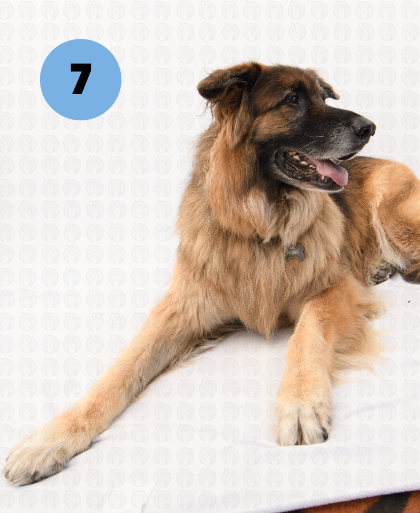 Screenshot 2025-09-30 at 9.06.54 AM copy.png