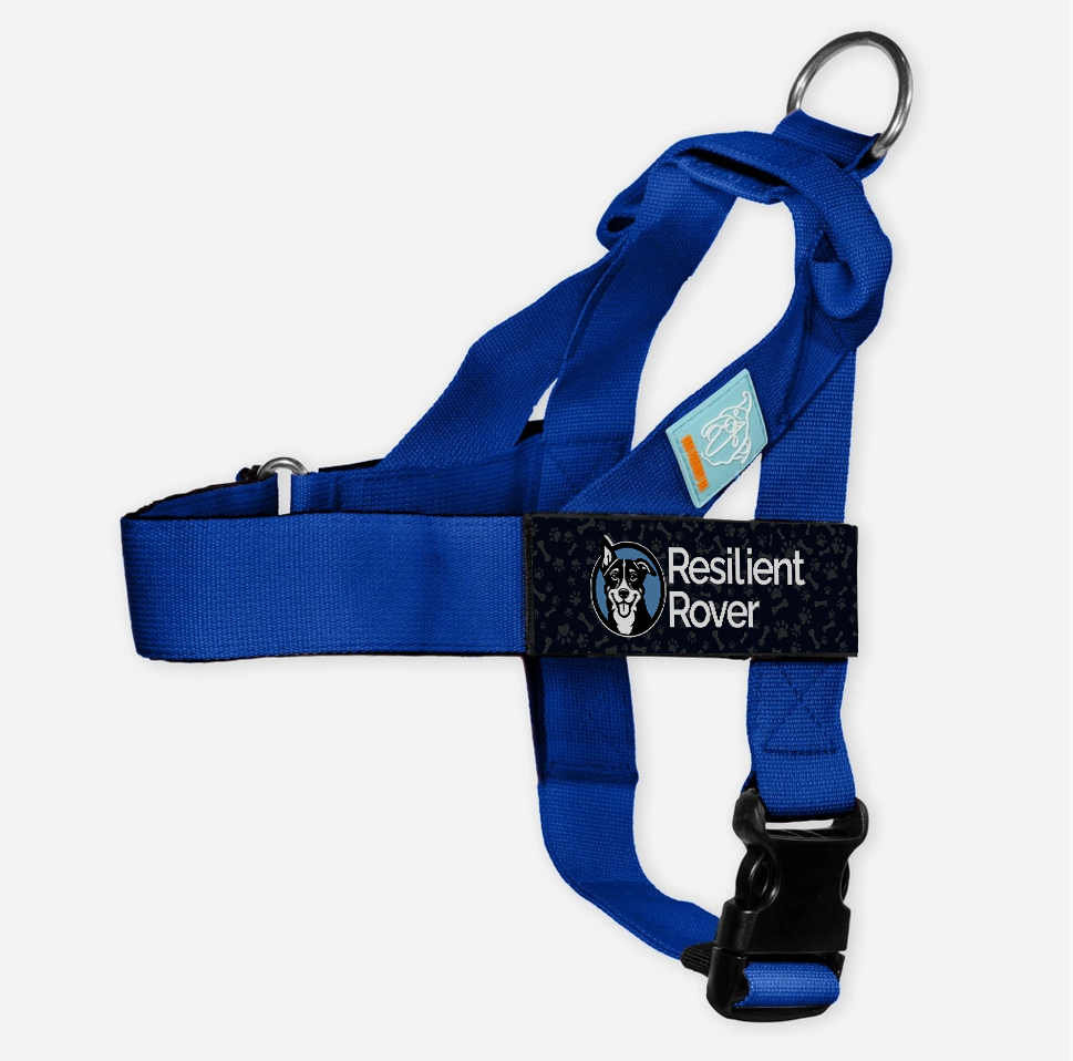 Solid Color Customizable Harness from Dog Friendly Co.