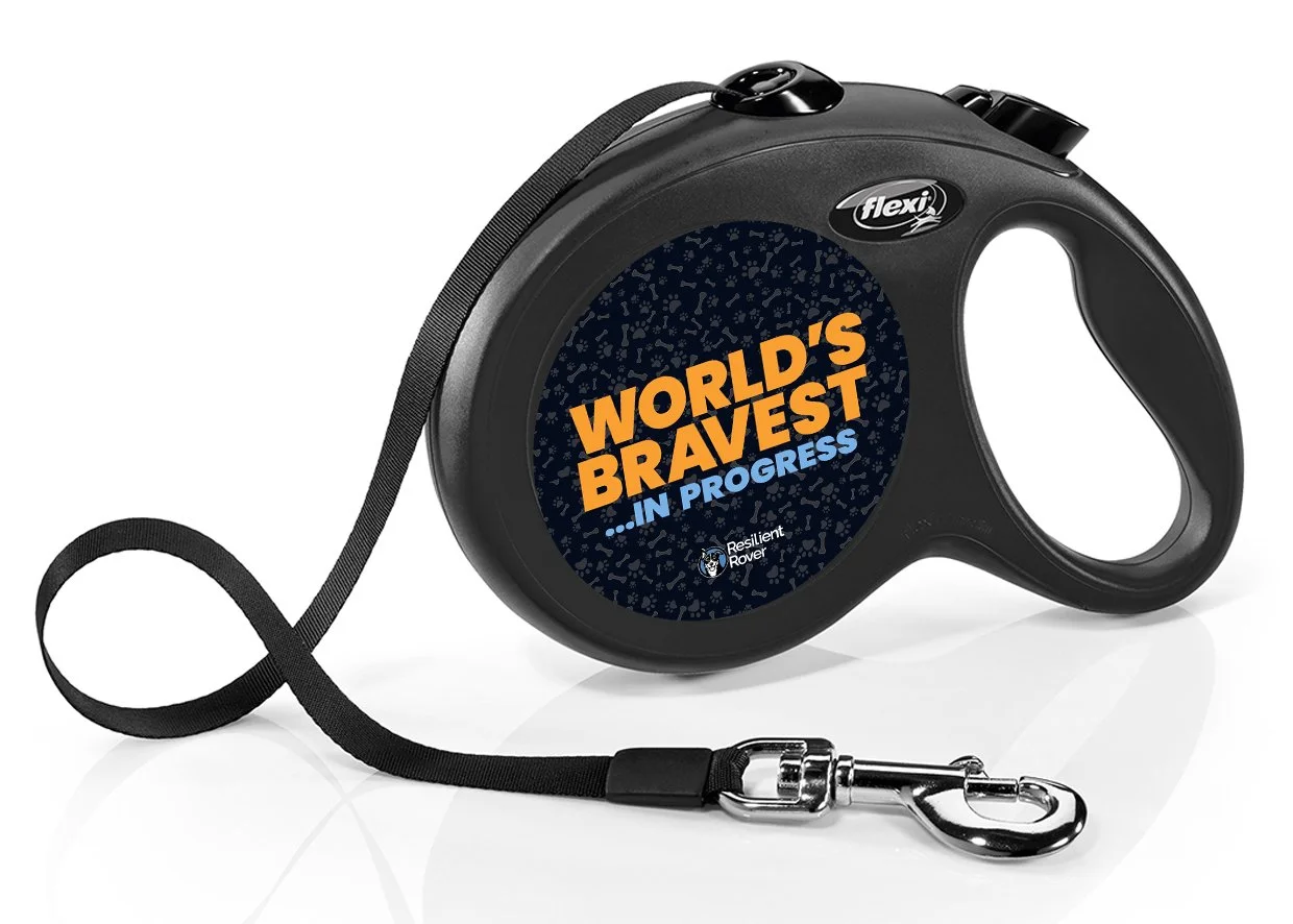 Flexi Retractable Leash with High-Vis Message