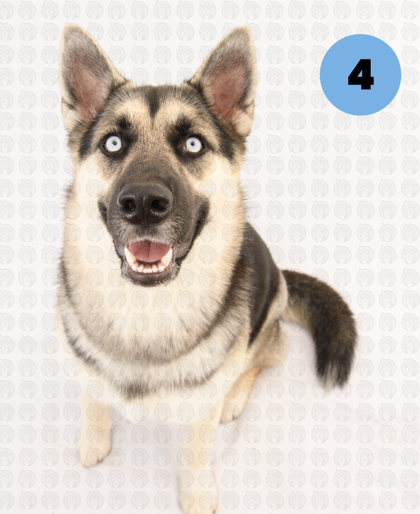 Screenshot 2026-01-12 at 11.39.25 AM copy.png