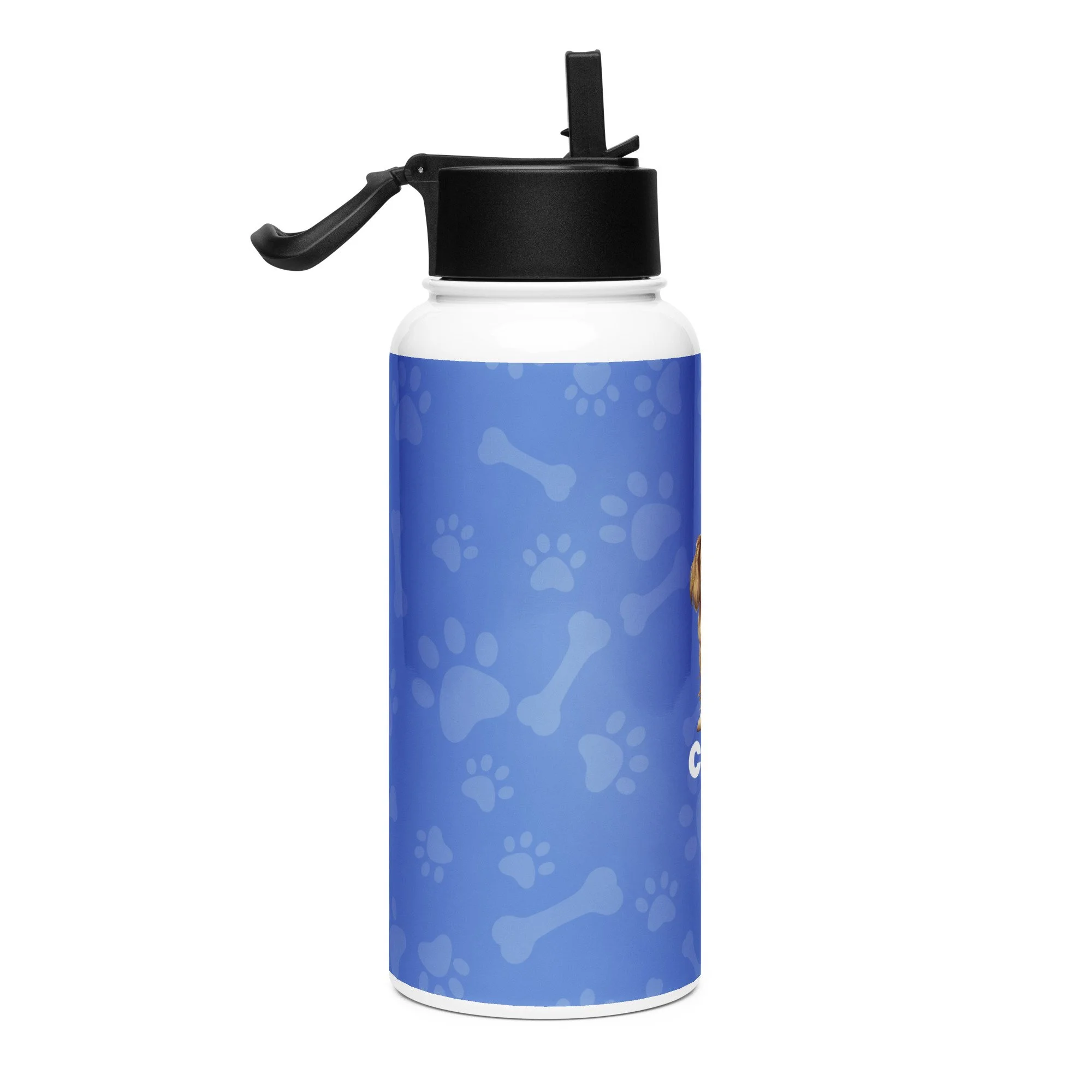 stainless-steel-water-bottle-with-a-straw-lid-white-32-oz-right-679d847ca4637.jpg