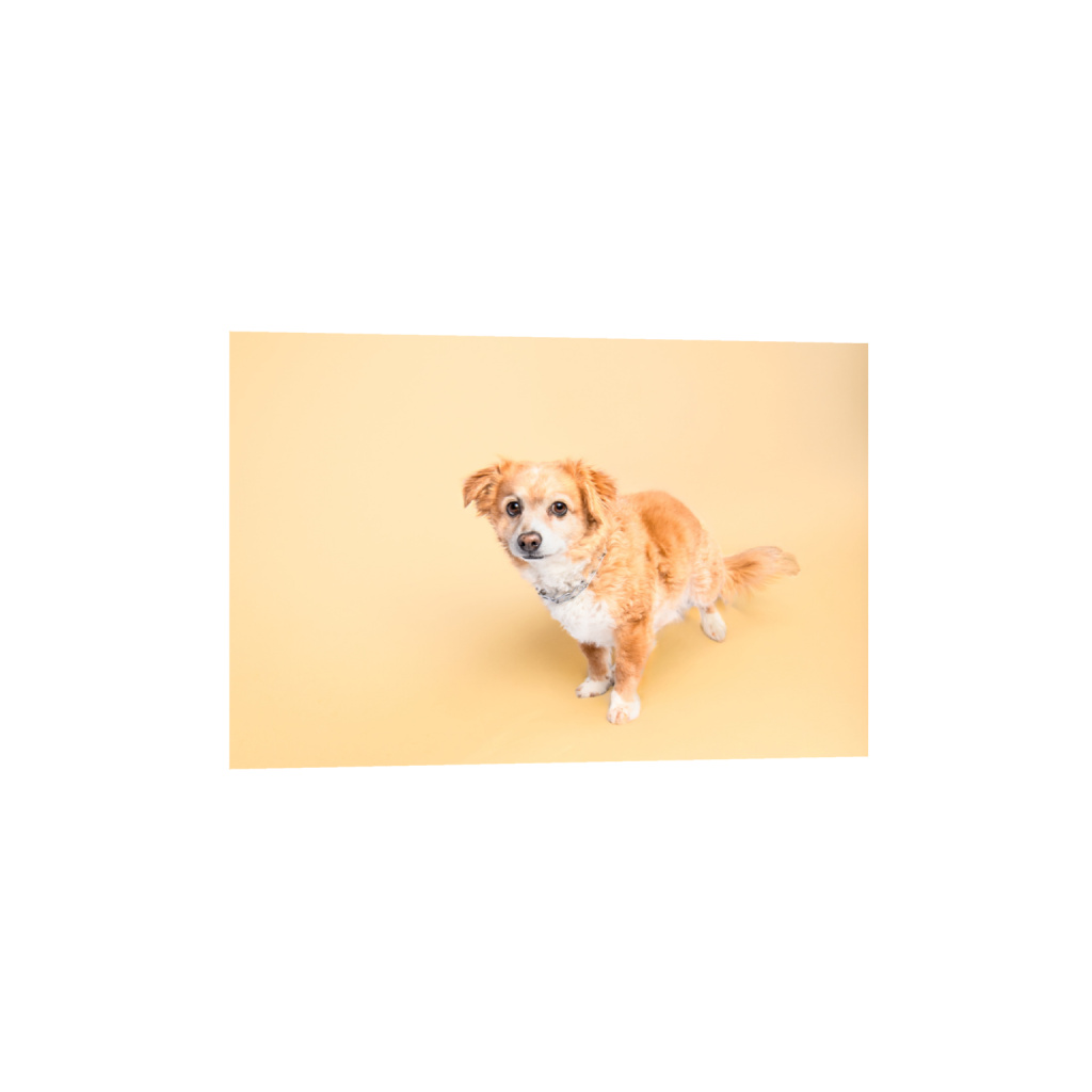 ptq_1_3_0_0_12000_8000_0_false_ffffff_0_0_.png