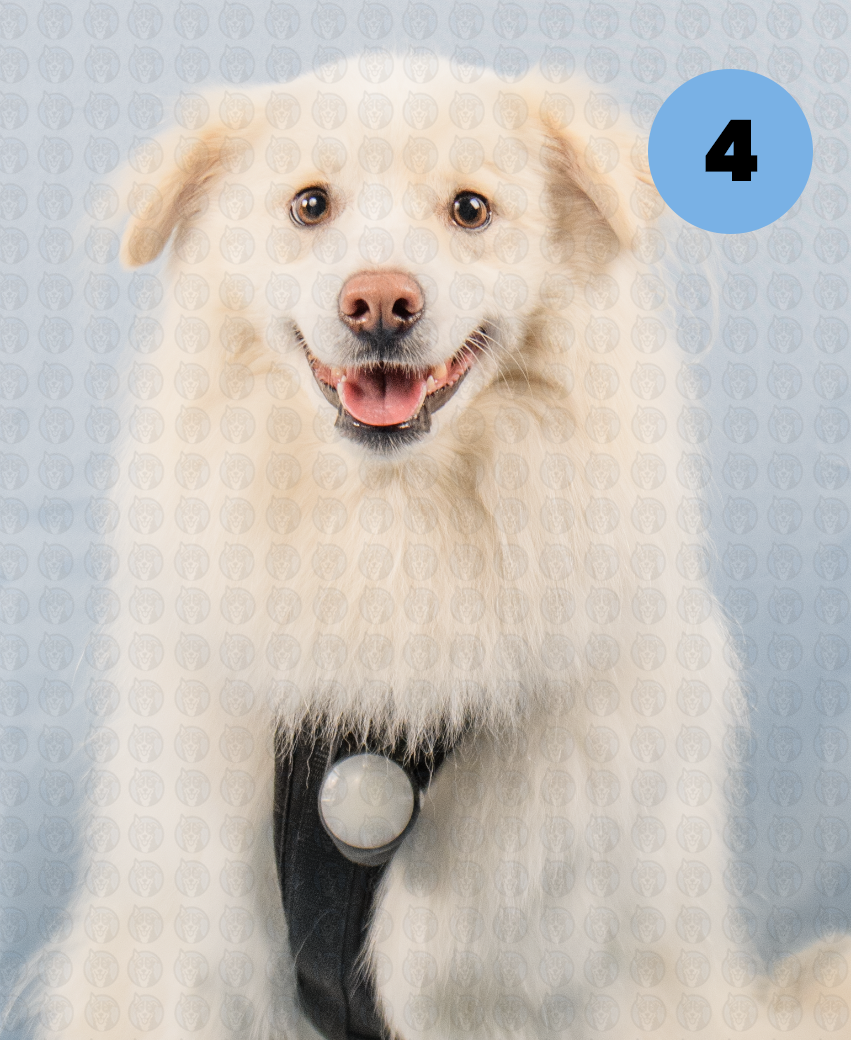 Screenshot 2025-12-22 at 7.12.25 AM copy.png