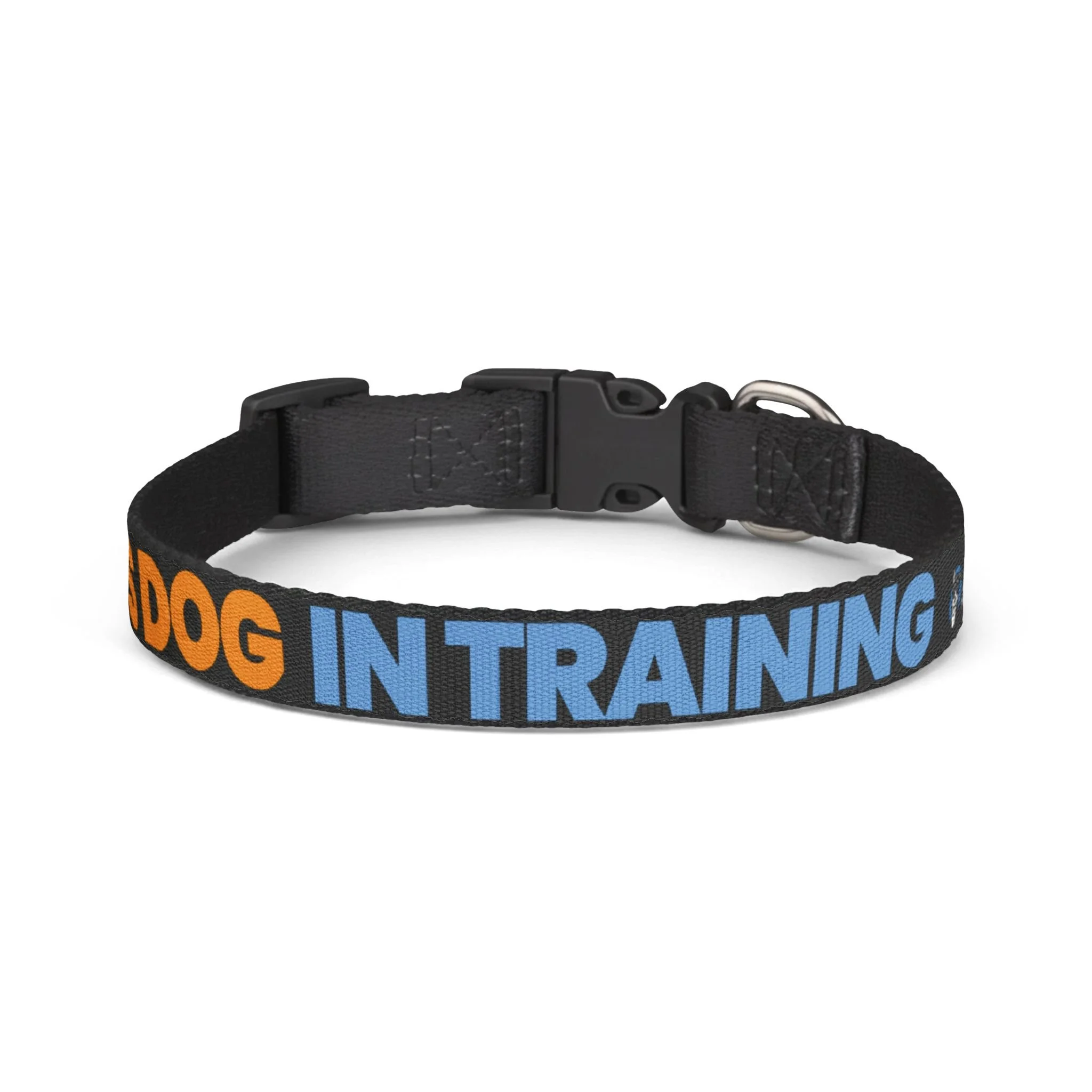 “Nervous Dog In Training” Buckle Collar — Gentle Training Collar for Anxious Dogs