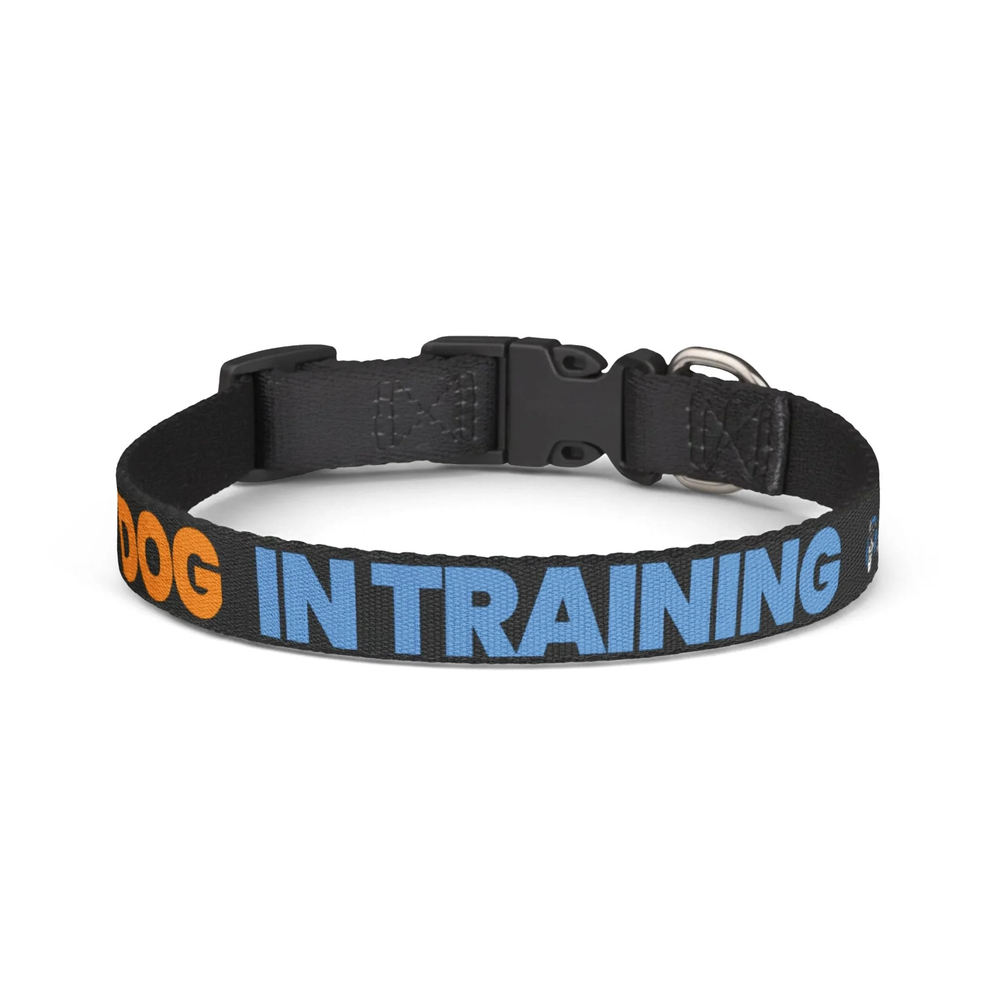 “Rowdy Dog In Training” Buckle Collar — Adjustable Training Collar for High-Energy Dogs