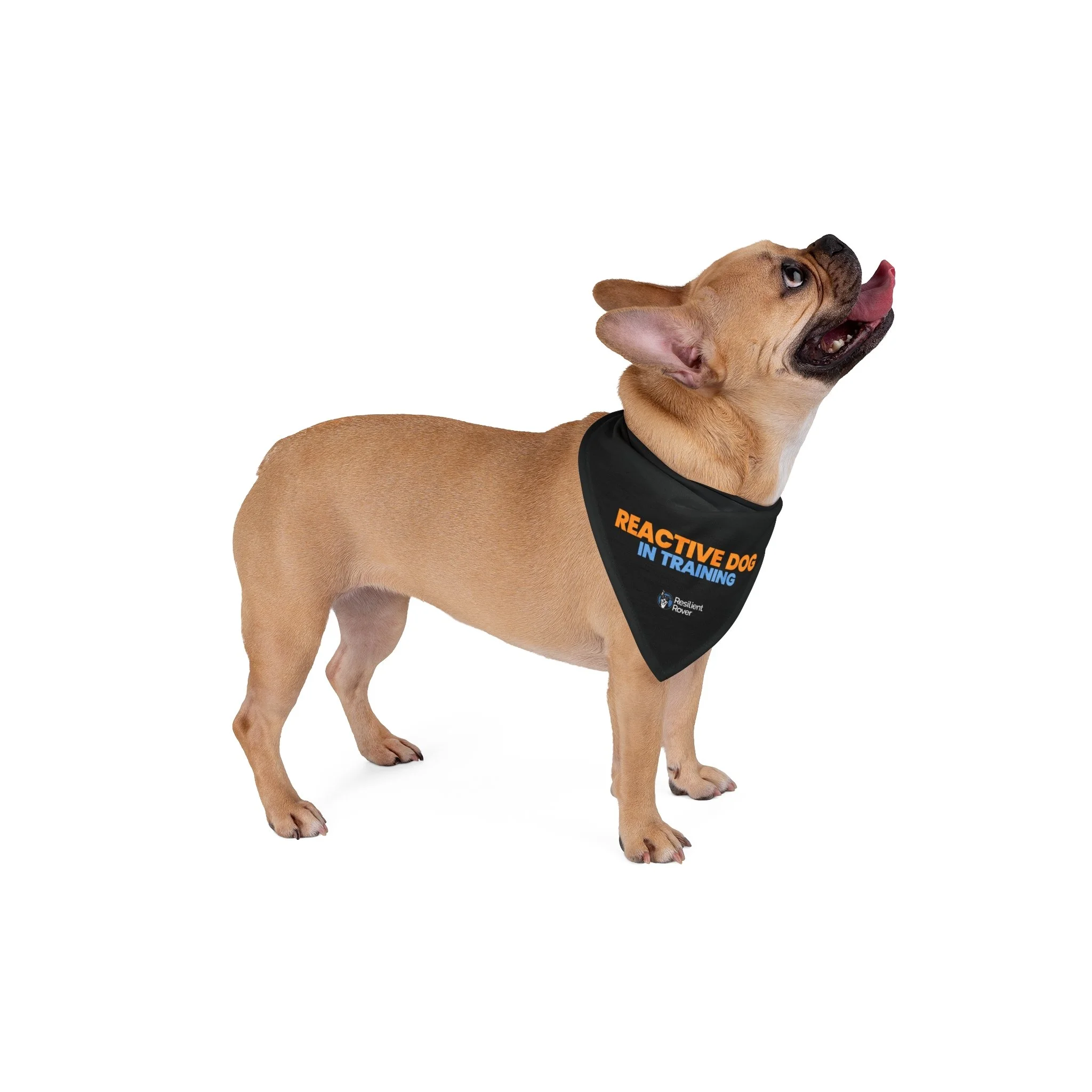 “Reactive Dog In Training” Pet Bandana - Anxiety-Friendly Dog Bandana for Calming, Training & Socialization