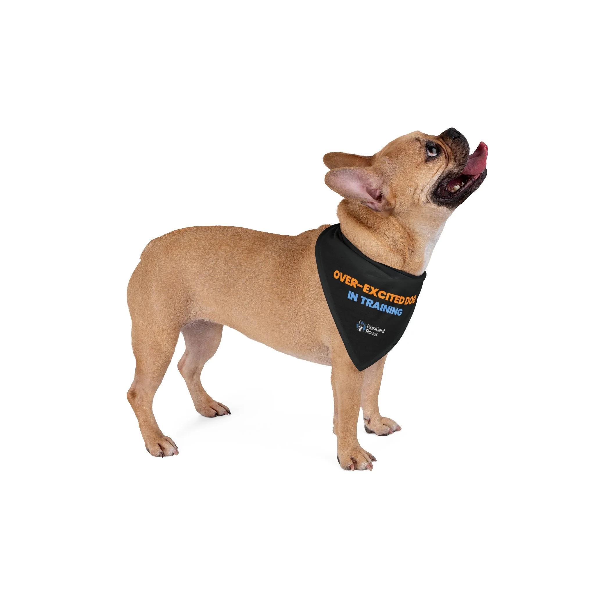 “Over-Excited Dog In Training” Pet Bandana  Anxiety-Friendly Dog Bandana for Calming, Training & Socialization
