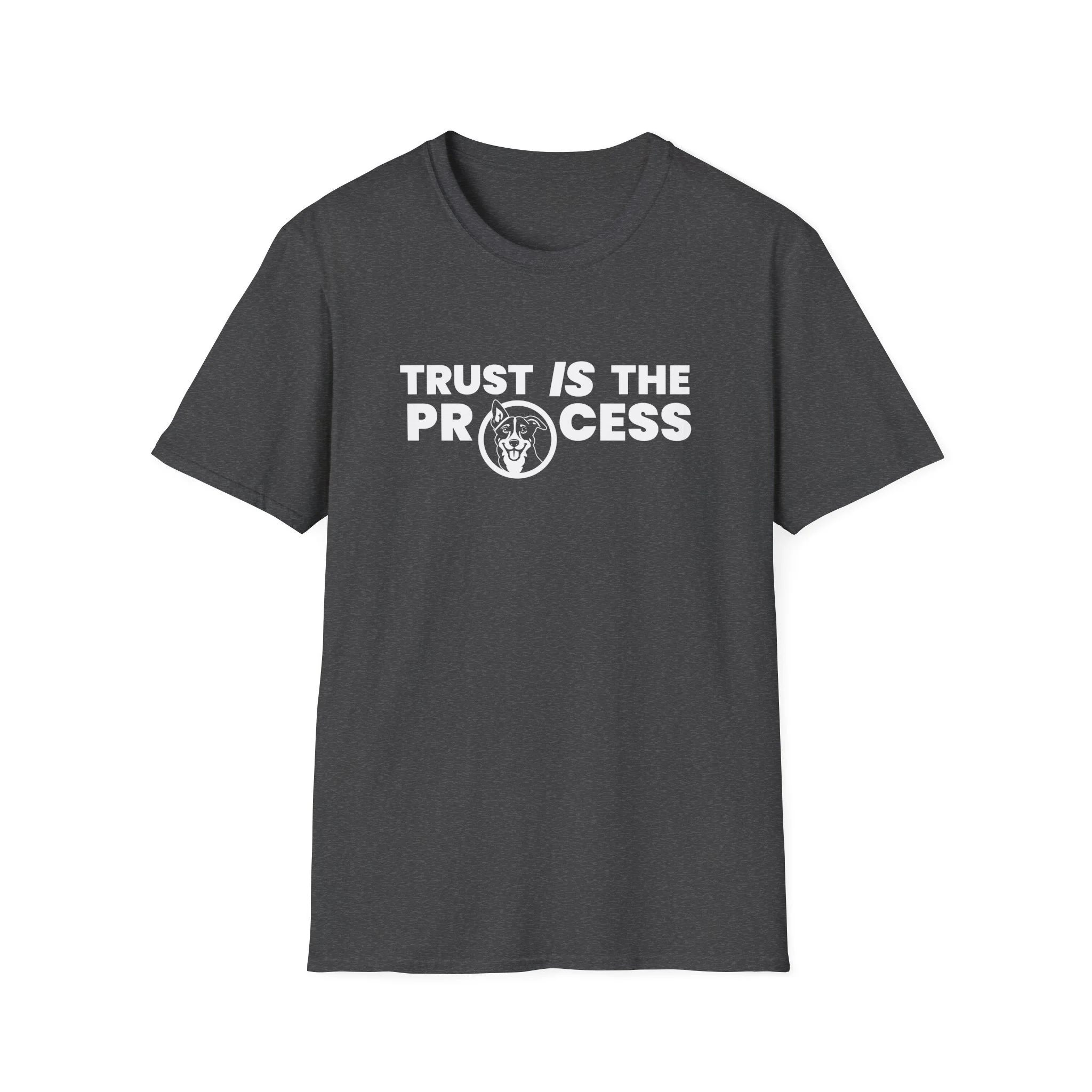 Trust IS The Process Lightweight Crew-neck Unisex T-Shirt