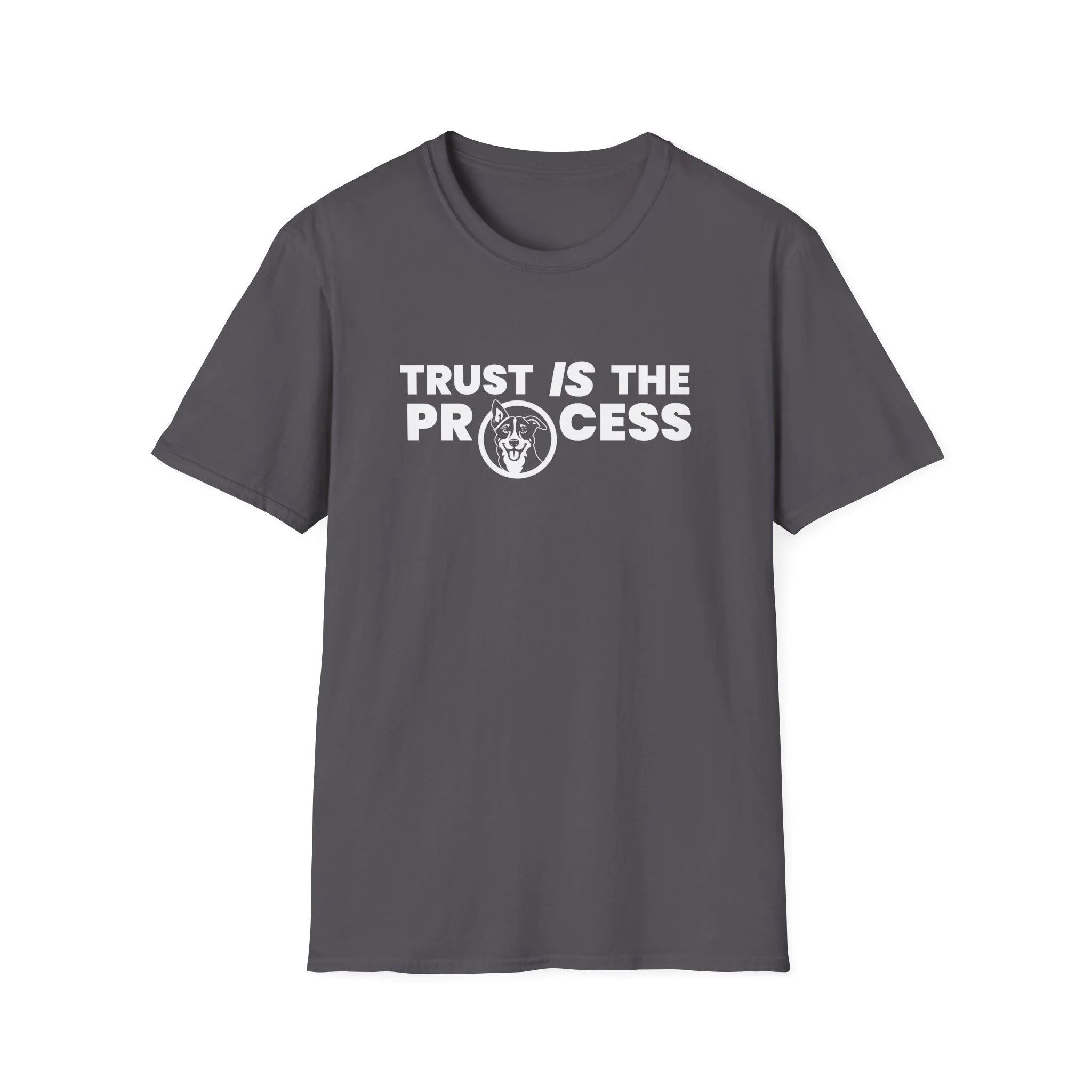 Trust IS The Process Lightweight Crew-neck Unisex T-Shirt
